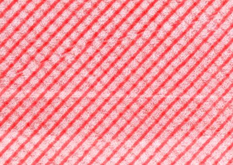 Cleanall-red-full-width